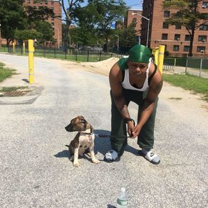 Meet your Posher, Lenaa